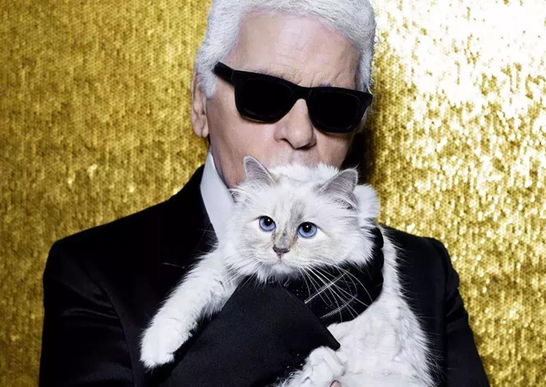 gucci和supreme联名马丁靴,guccisupreme鞋子