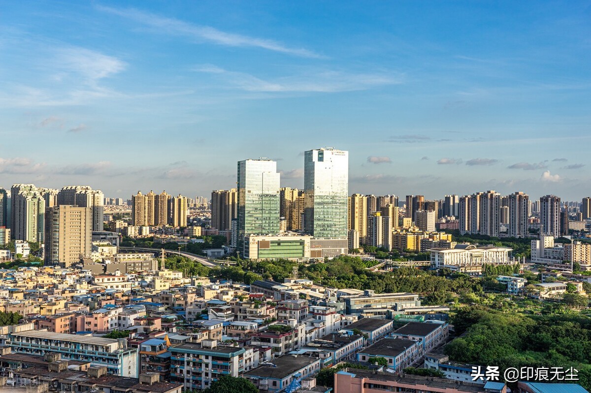 广州芳村｜“花鸟之乡”的千年，又有芳华几许？（上篇）