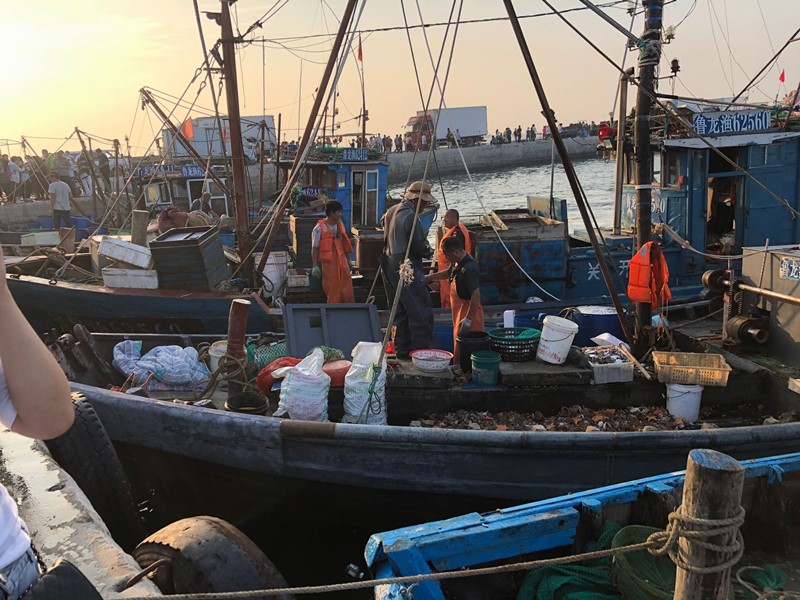 买螃蟹看什么,买螃蟹怎么选肥的