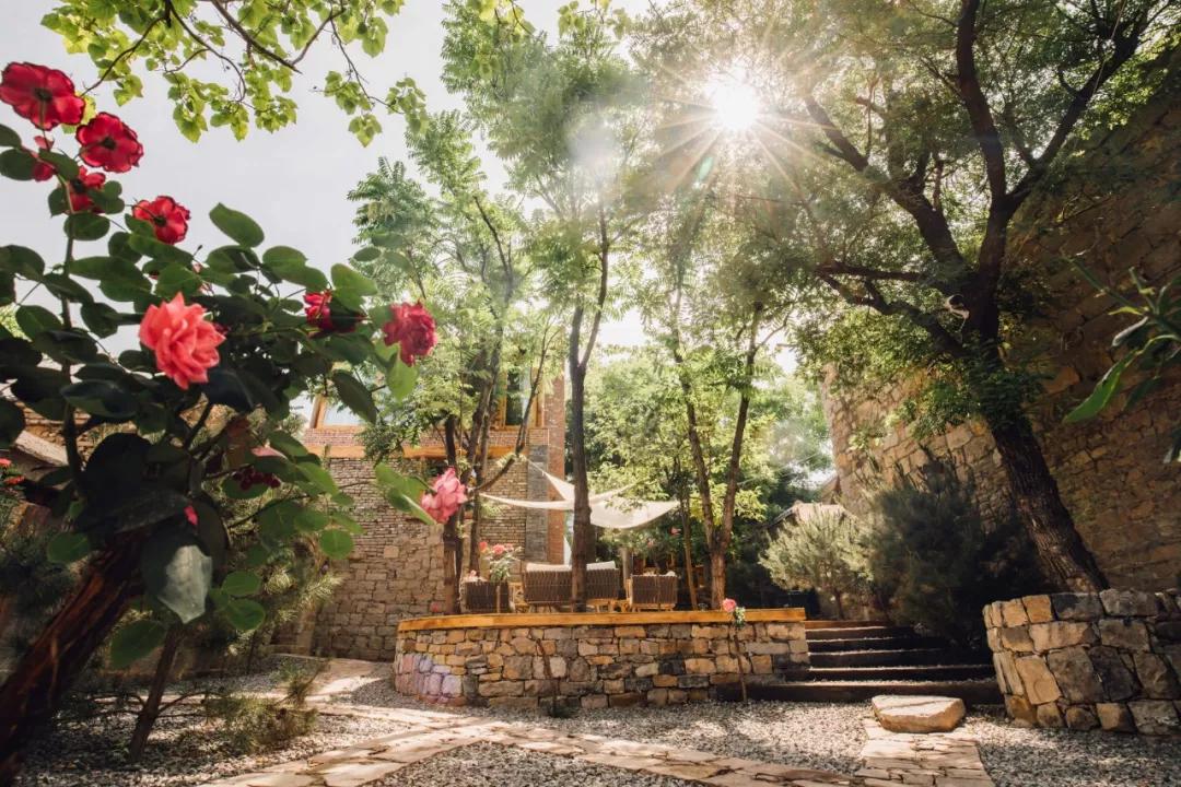 神仙眷侣辞掉高薪工作，爆改废弃山谷，造无边恒温泡池，全景树屋