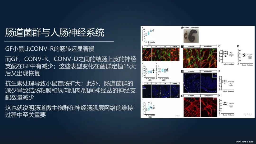 一招调理肠道改善便秘,肠道水疗治便秘有效吗