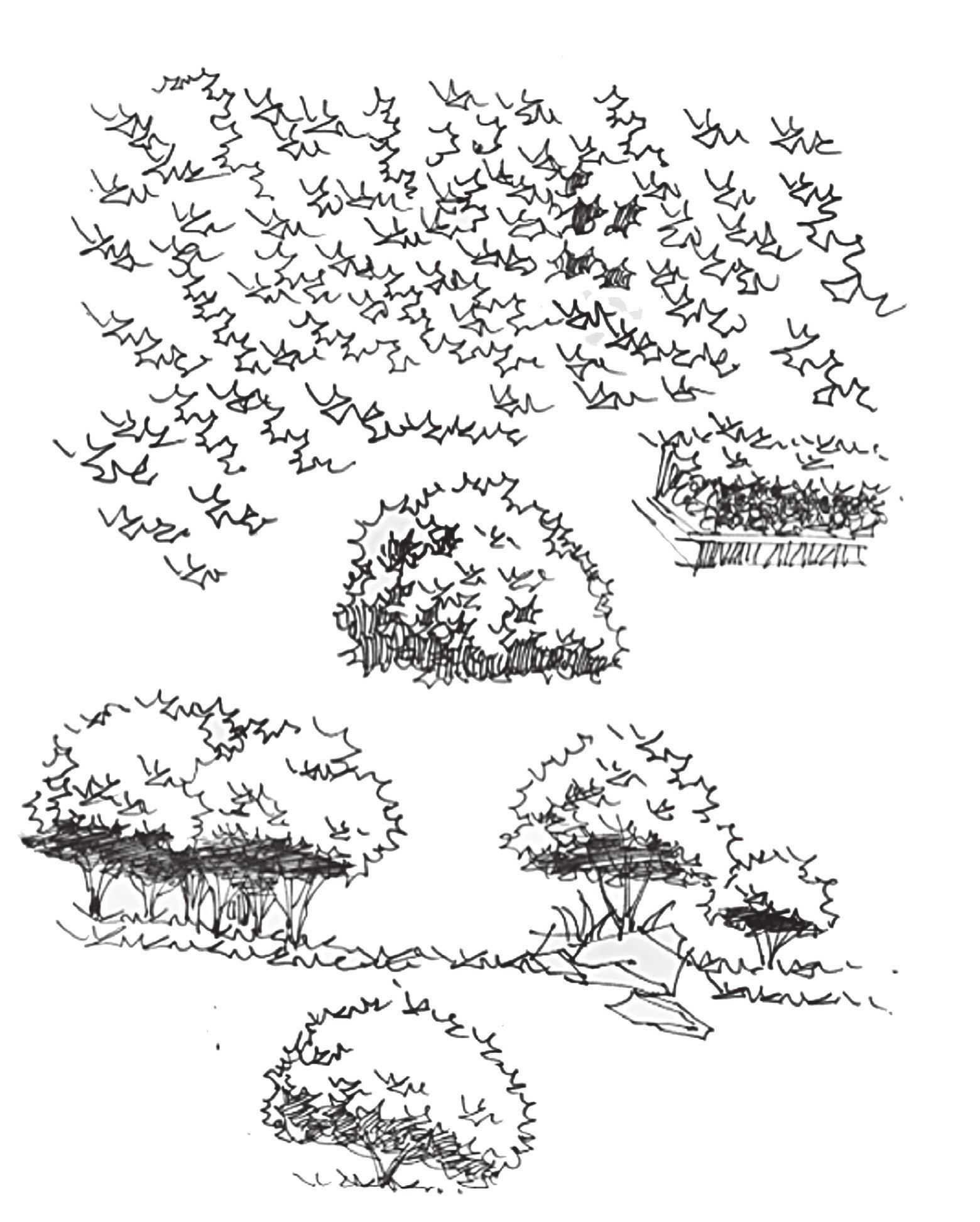 手绘画教程简单初学者上色,手绘画基础教程简单