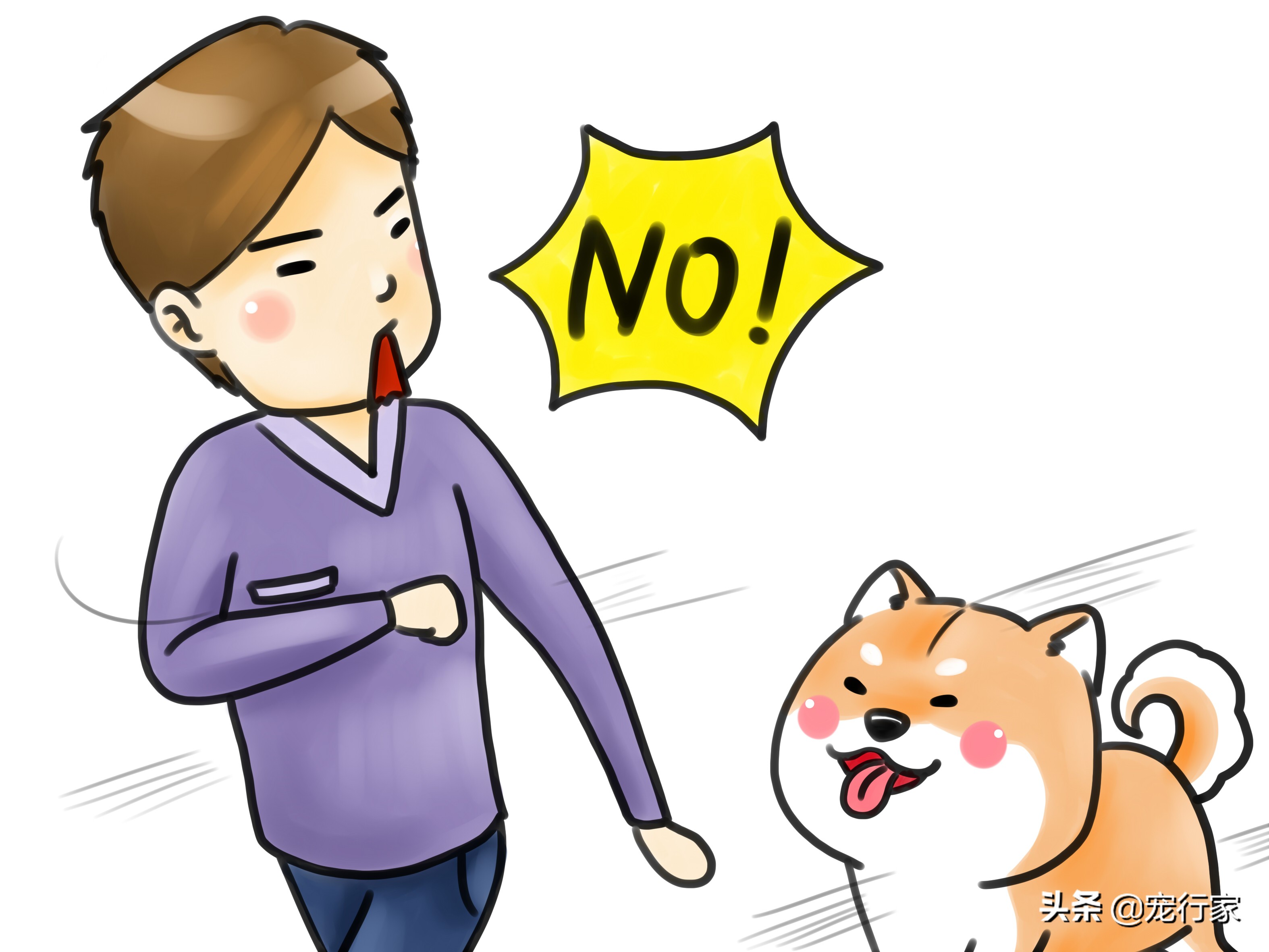 怎么对狗社会性训练,狗到底要怎么训练