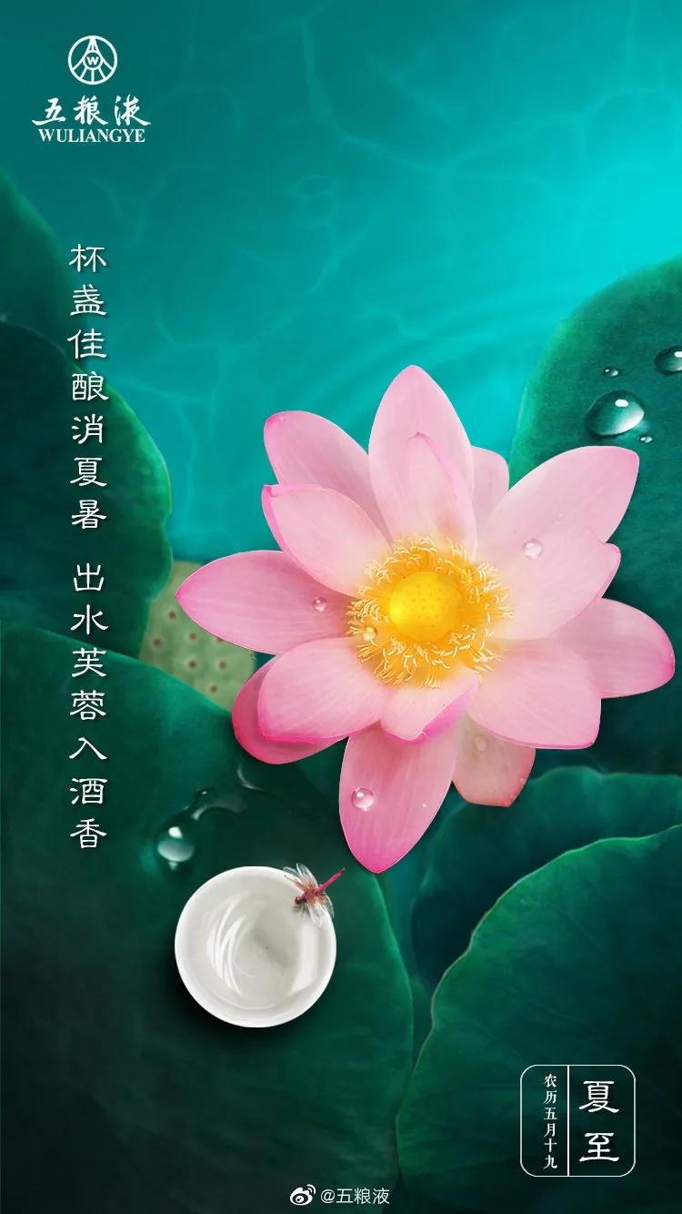 夏至节气文案图片,最新夏至文案朋友圈配图