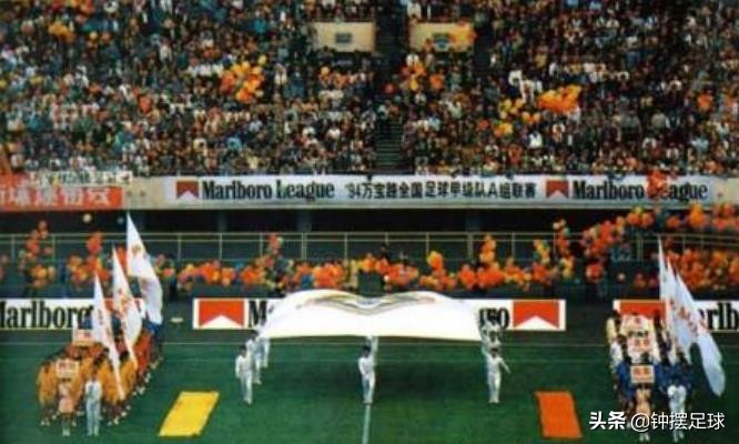 北大学者批评男足,北大学者炮轰国足