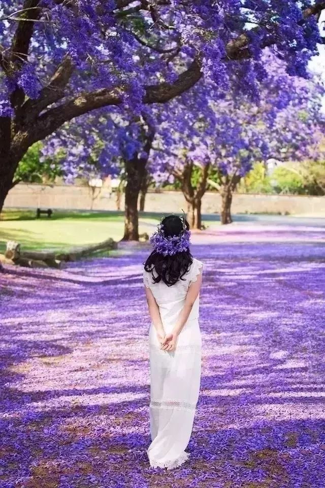 网络上90%的旅行攻略，都是用来坑人的！你被坑过吗？