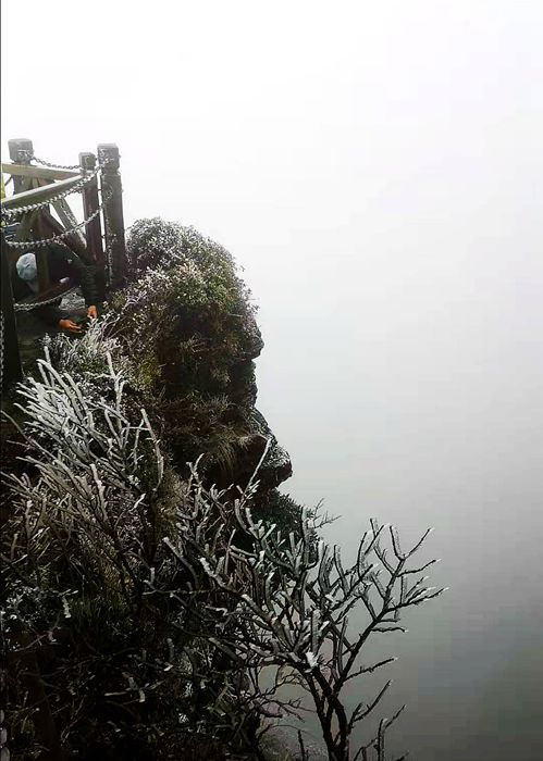 雨中的梵净山景色,烟雨梵净山
