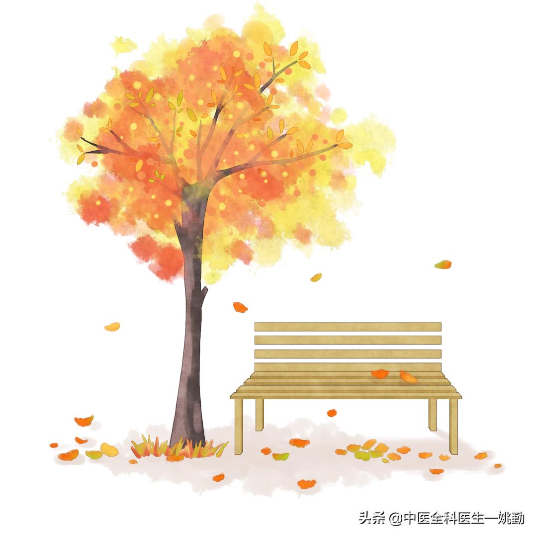 秋气内收，头皮营养少！多喝这碗粥，上荣头面、防脱固发