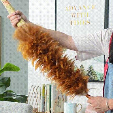 猫咪省钱好物维生素,猫咪必买的10种单品