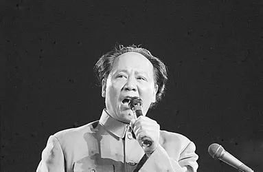 古月的传奇史,古月的传奇人生