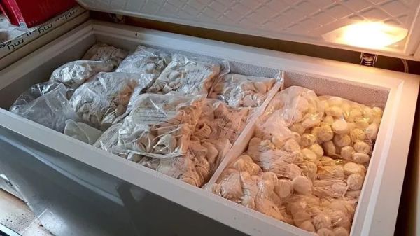 奥地利对华人移民真实态度,奥地利评价中国