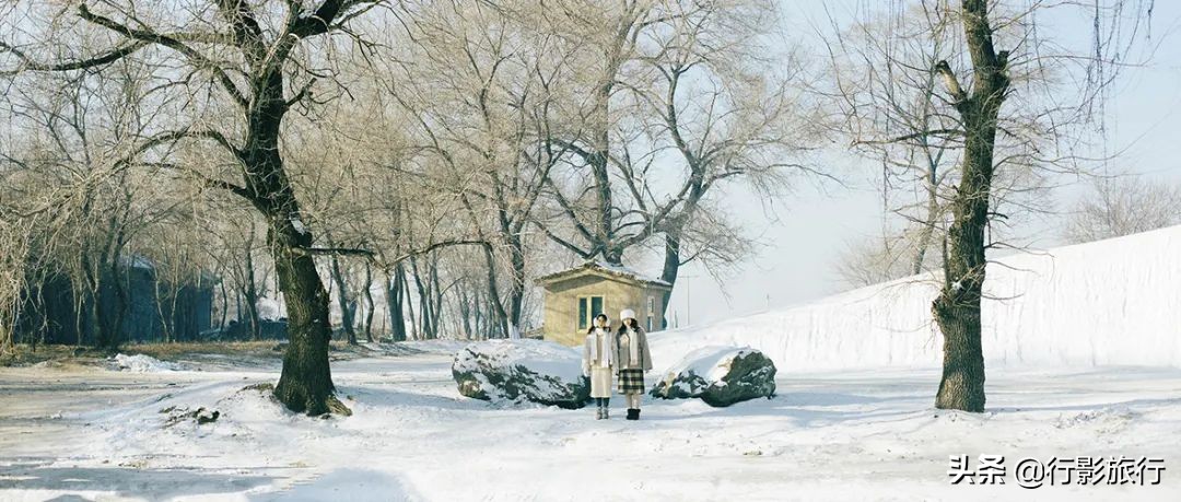 东北人是如何评价日本人的,作为东北人你怎么评价哈尔滨