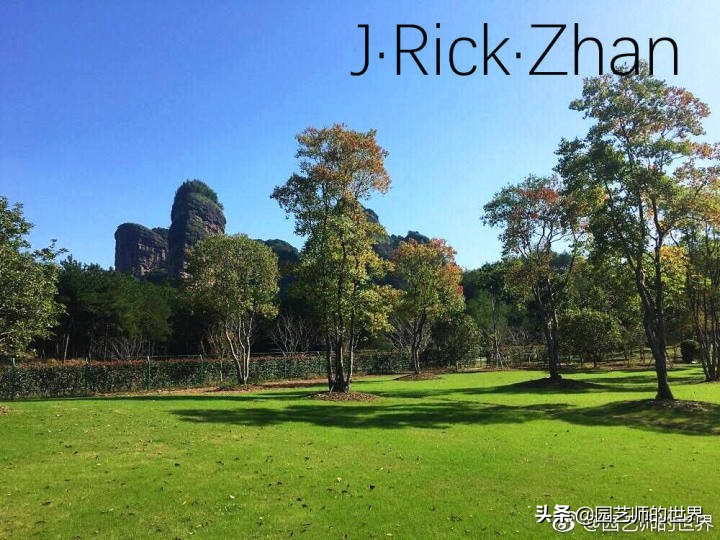 高尔夫果岭草坪家庭院子种植,麦冬草坪种植方法和注意事项