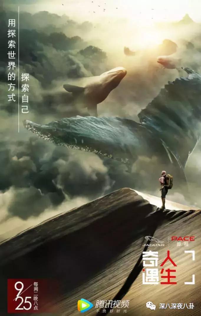 最新神仙综艺节目,2019高分冷门的良心综艺安利