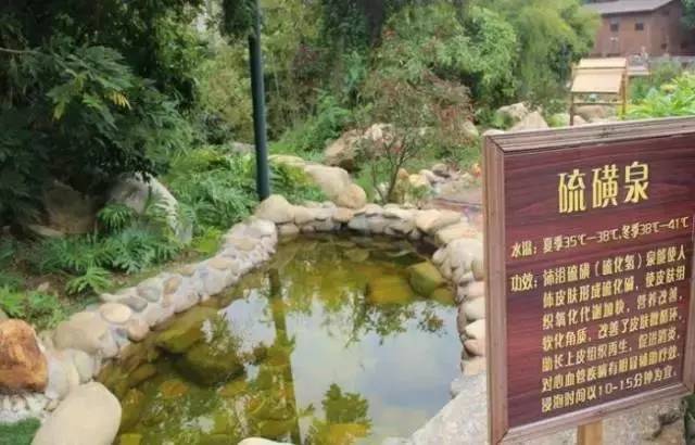 惠州怡情谷泡温泉住宿,惠州怡情谷温泉酒店二天一晚