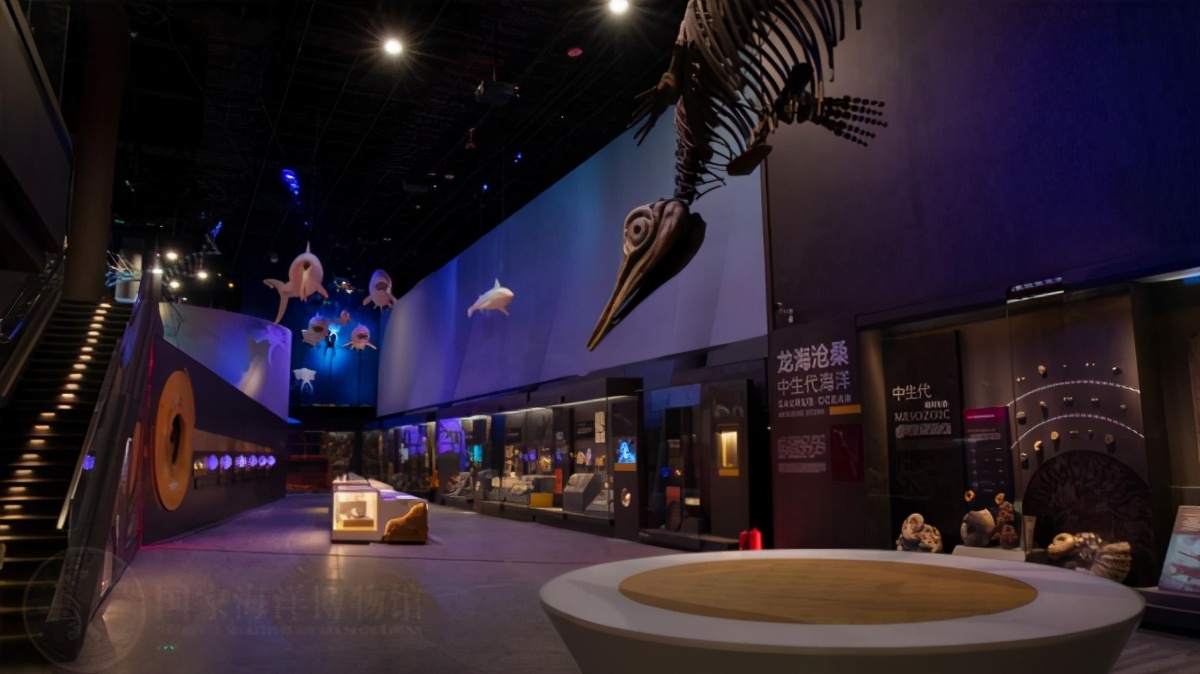 国家海洋博物馆游玩需要多久,天津生态城国家海洋博物馆