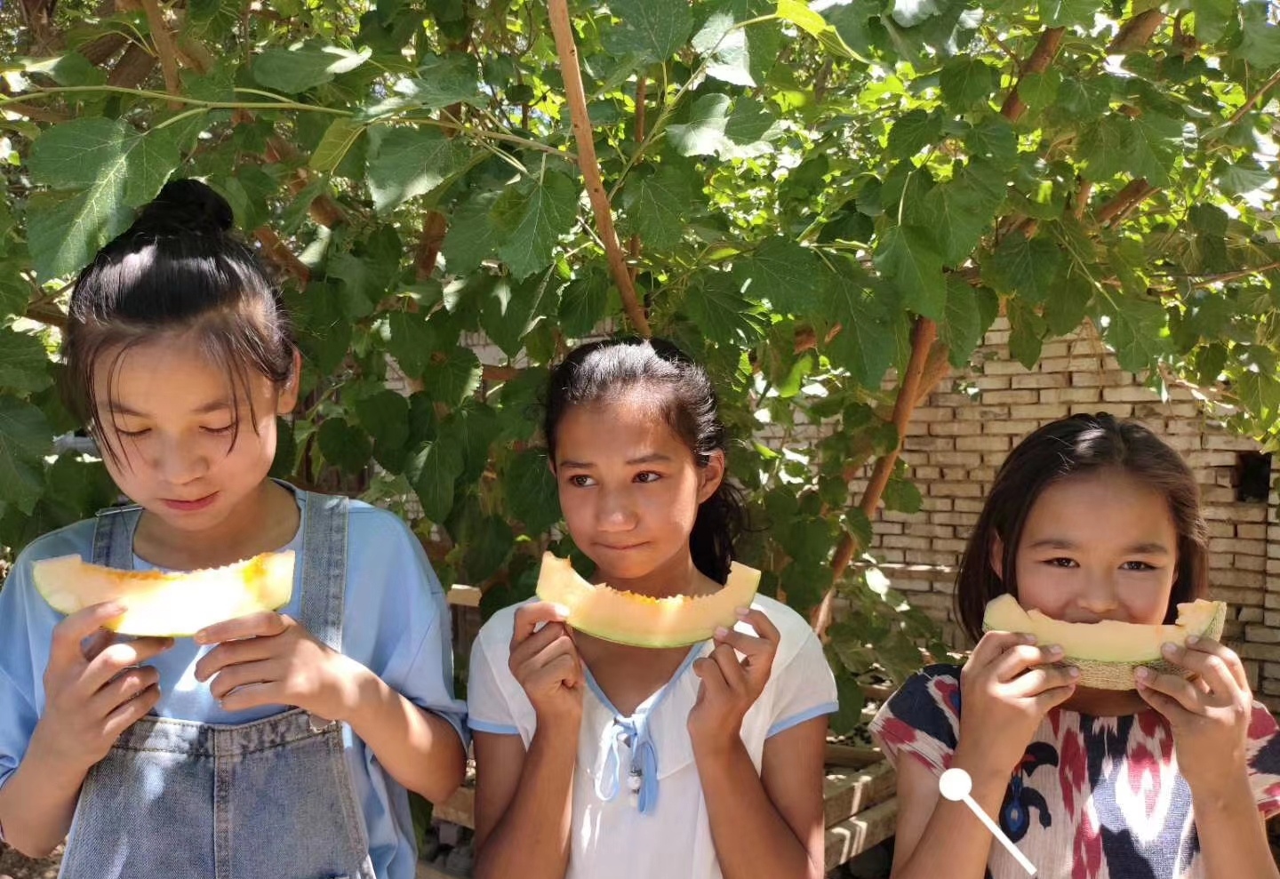 名扬四海的新疆瓜果,带你一起吃遍新疆瓜果