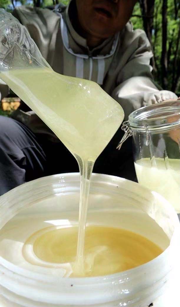 蜂蜜放冰箱不结晶蜂蜜是假蜂蜜吗,如何辨别蜂蜜纯天然正宗蜂蜜