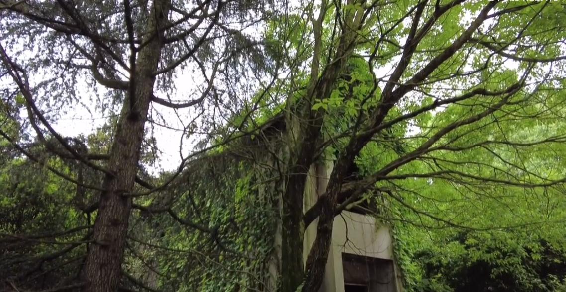 贵阳近郊小岛废弃别墅是怎么回事,贵阳废弃别墅群怎么回事