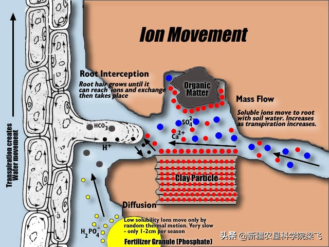 铜锌硼微量元素配比,硼锌钼铜铁锰正确使用方法