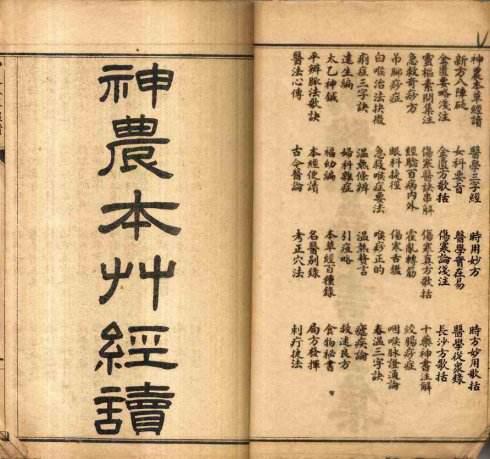 相传“七秒鱼”可以治病？