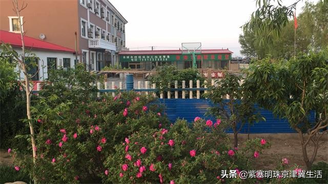海边可以赶海吃住玩一体的农家院,秦皇岛黄金海岸牧海农家院