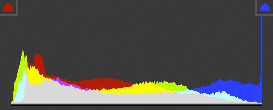 曲线要怎么记容易学得快,曲线难学吗