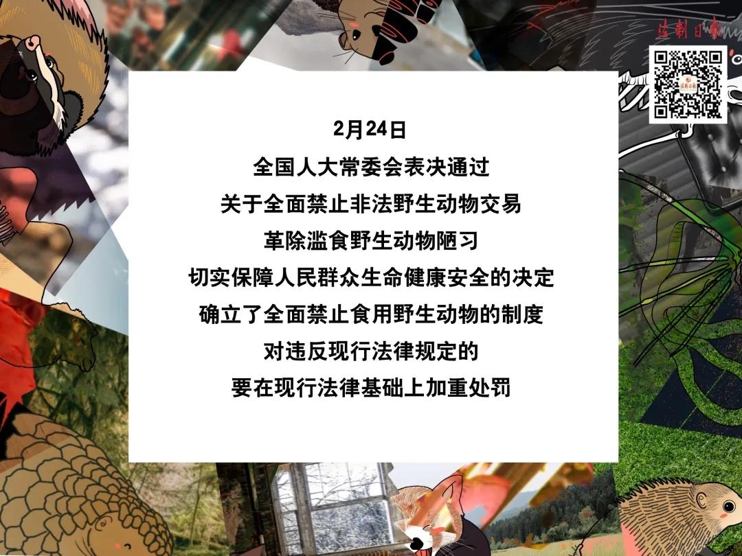 拒绝野味成为自觉行为,拒绝野味管不住嘴