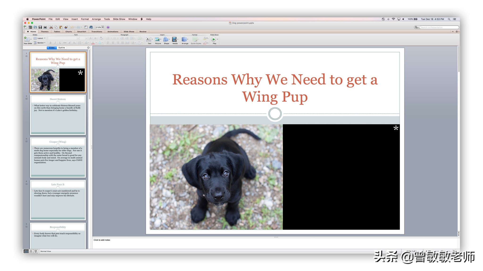 如何说服父母给你买爱豆周边？美国13岁女孩用85页PPT做到了！