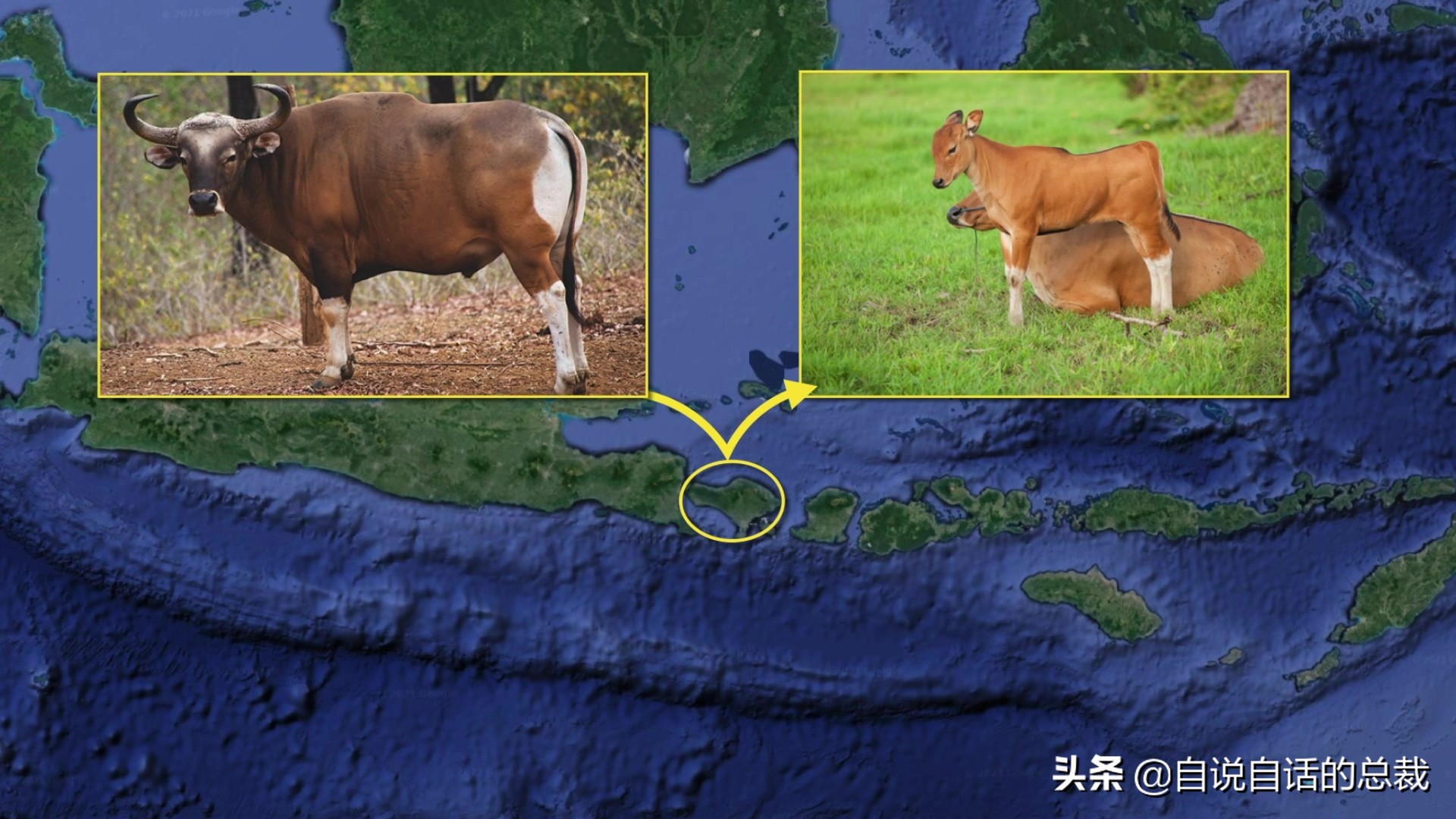 阿努纳奇创造人类7次文明,阿努纳奇人类起源