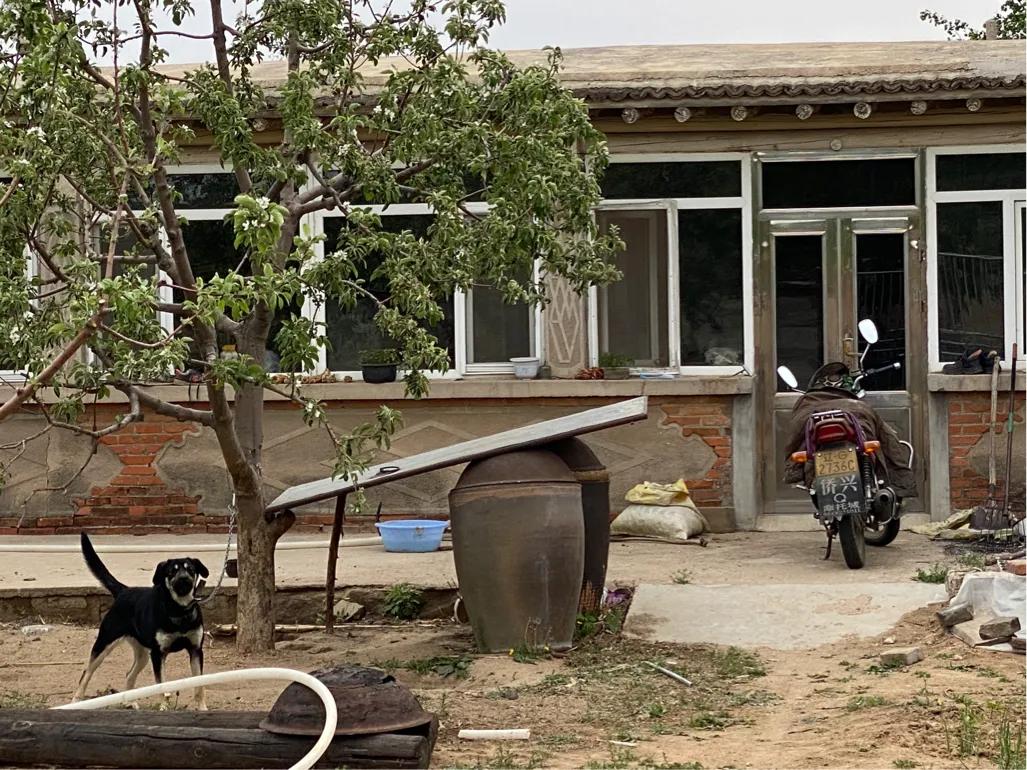 【7/5】30、走进北镇庙后朱屯我家老院