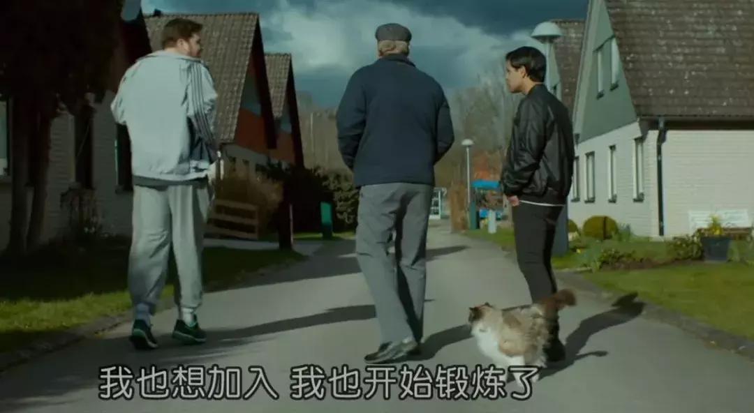 主人们不在家猫咪是怎么生活的,猫咪主人不在时猫咪有什么表现