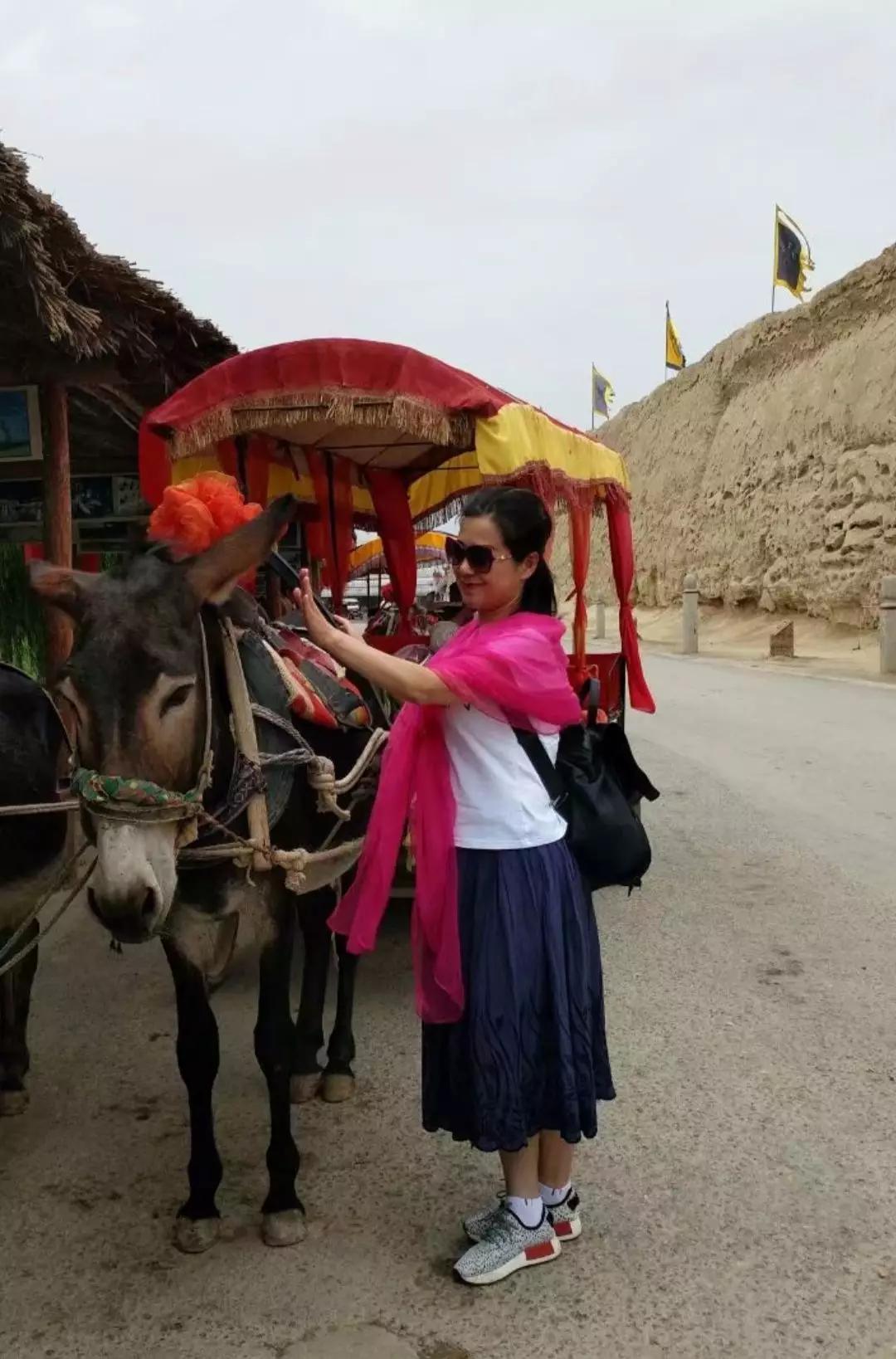 黄建芳的小视频,黄建芳湖南嘉禾人