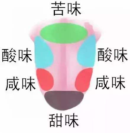 全部都是假的图片大全,一张图看出真的假的