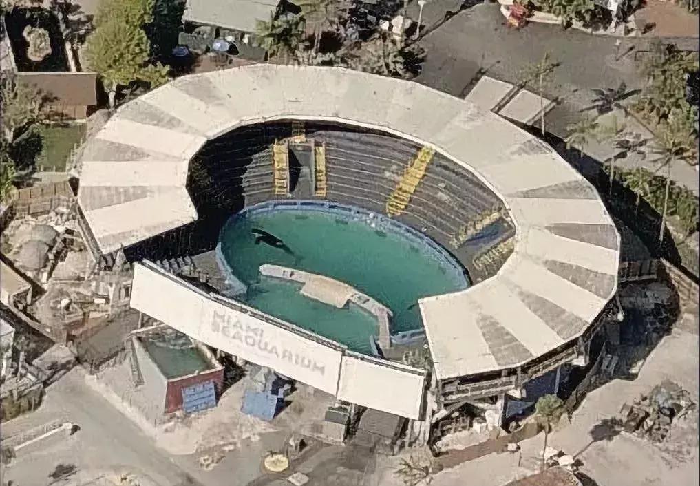 难得一见海洋动物表演,看不完的海洋动物和表演