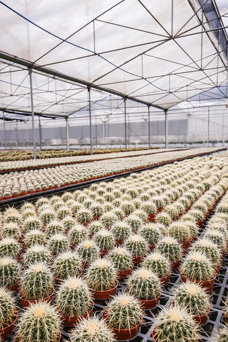 在大山深处幽静绝美的村落,深藏大山中的村落