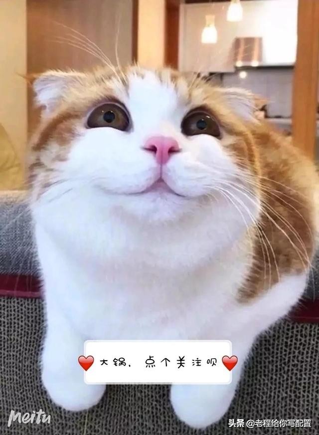 为什么淘宝上卖电脑比实体店要贵,淘宝京东电商店铺