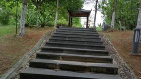 nova9pro和hinova9pro,华为nova9pro快速上手