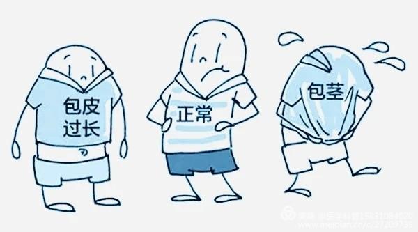 性的科学10——假期到了，跟孩子一块去切包皮吧