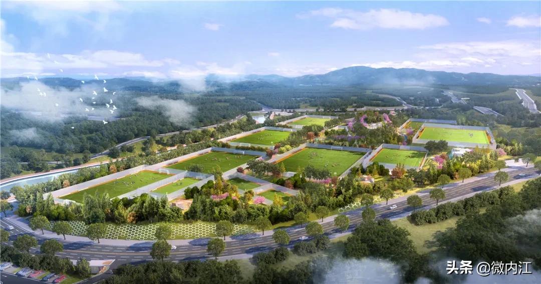 内江大洲广场足球场,内江新足球运动场