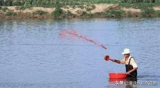 鱼出血病的防与治,鱼类出血性疾病