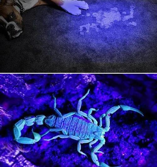 这么冷的冷知识你知道多少,关于历史的冷知识你知道几个