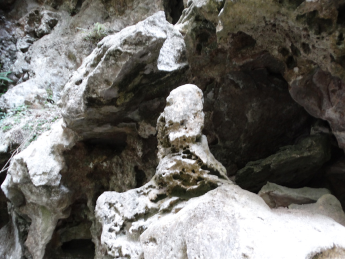 师宗凤凰谷走马观(中)