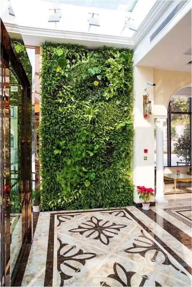 pvc塑料绿植,绿植盆里的塑料