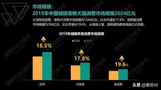 戴LV项圈、吃进口零食、住定制宾馆，网友：活得不如狗