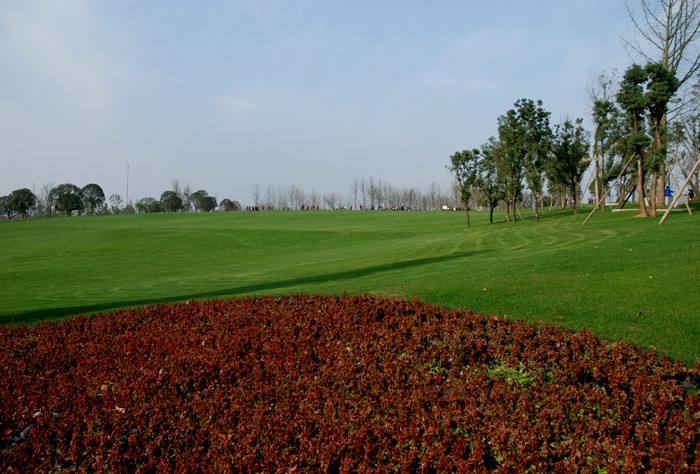 重庆附近公园免费景点推荐一下,重庆主城区适合小孩玩的公园