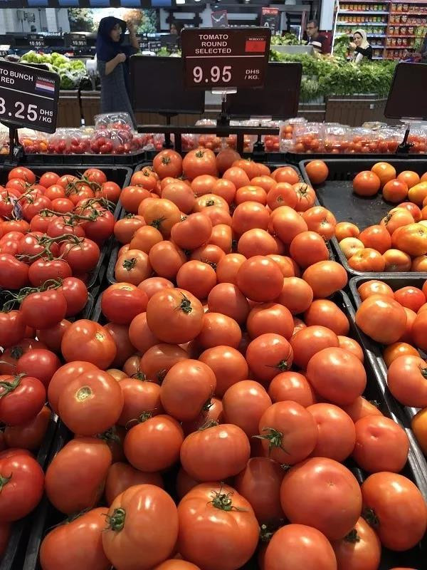 迪拜物价贵还是便宜,在迪拜消费高不