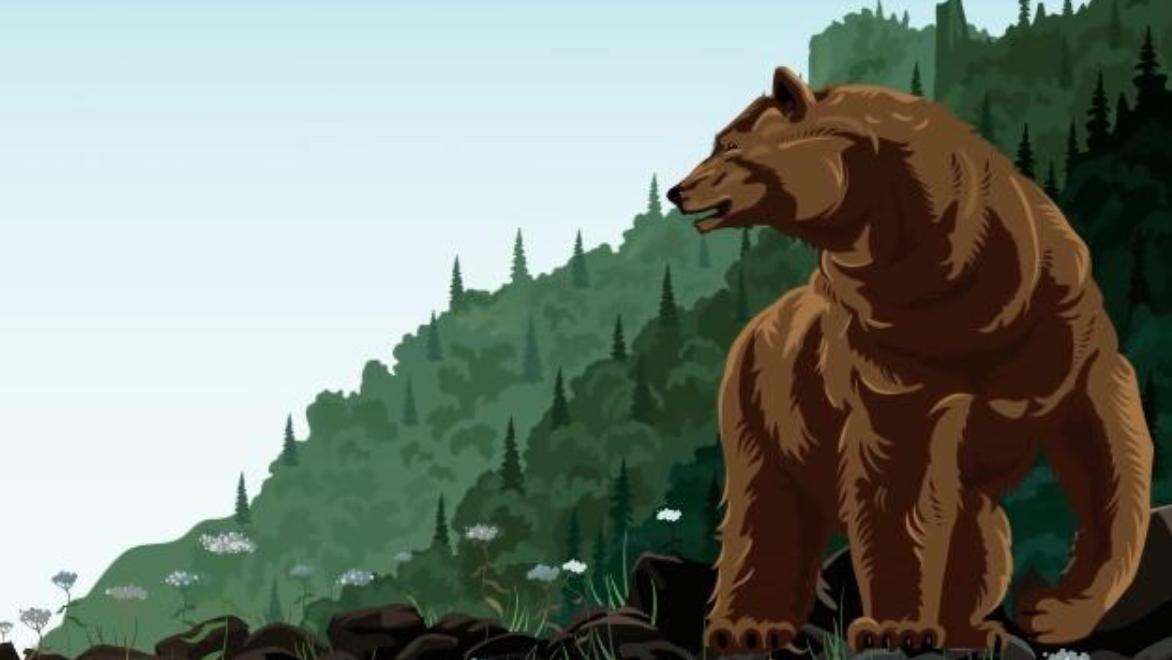 动物遇到危险会怎么做,野外遇到危险动物怎么办