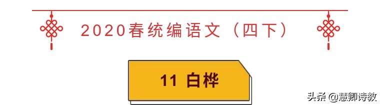 部编版四年级下册语文白桦笔记,部编版四下语文白桦优质教学设计