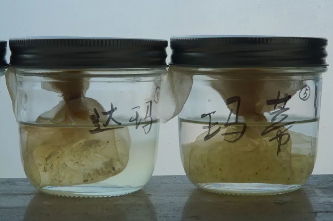 文萃画材北京,2024文萃画材教师培训